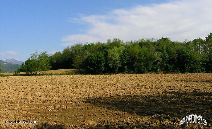 07 Dal sedime. Almè, la collinetta Monte Bianco. Nell'angolo il Resegone.JPG